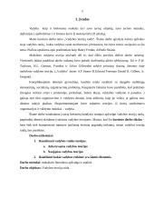 Vadybos teorijų raida glaustai 3 puslapis