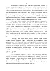 Vadybos teorijų raida glaustai 6 puslapis