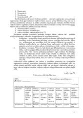 Vadovybės dalyvavimo kokybės gerinimo procese įvertinimas 11 puslapis
