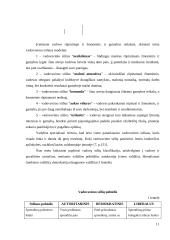 Vadovas ir valdžia 11 puslapis