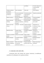 Vadovas ir valdžia 12 puslapis