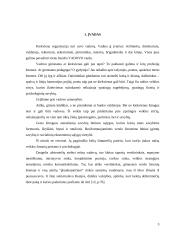 Vadovas ir valdžia 3 puslapis