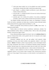 Vadovas ir valdžia 6 puslapis