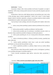 Vadovas ir valdžia 10 puslapis