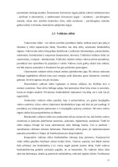 Vadovo patirtis ir darbo specifika 11 puslapis