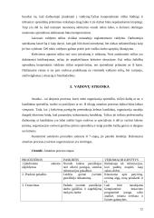 Vadovo patirtis ir darbo specifika 12 puslapis