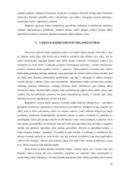 Vadovo patirtis ir darbo specifika 18 puslapis