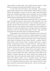 Vadovo patirtis ir darbo specifika 19 puslapis