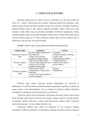 Vadovo patirtis ir darbo specifika 5 puslapis