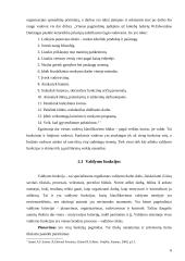 Vadovo patirtis ir darbo specifika 6 puslapis