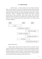 Vadovo patirtis ir darbo specifika 9 puslapis