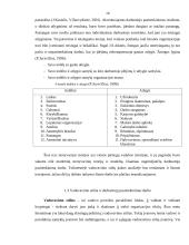 Vadovų vadovavimo stiliaus įtaka kultūrinės institucijos veiklai 9 puslapis