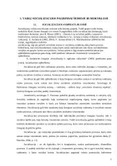 Vaikų, patyrusių tėvų skyrybas, socializacijos ypatumai pradinėje mokykloje 5 puslapis