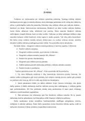 Valdymo metodų analizė: kelių tiesimas ir tiltų statyba AB "Alkesta" 4 puslapis