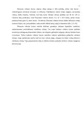 Valiutų kursų svyravimas bei jų įtaka šalies ekonomikai 11 puslapis