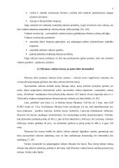 Valiutų kursų svyravimas bei jų įtaka šalies ekonomikai 4 puslapis