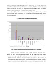 Valstybės investicijų programa 11 puslapis