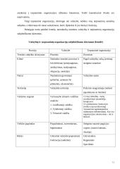 Valstybių ir tarptautinių organizacijų subjektiškumo skirtumai 11 puslapis