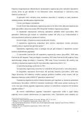 Valstybių ir tarptautinių organizacijų subjektiškumo skirtumai 9 puslapis