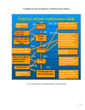 Vandens ištekliaus naudojimo valdymas 15 puslapis