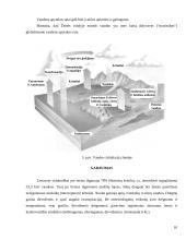 Vandens ištekliaus naudojimo valdymas 10 puslapis
