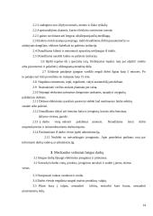 Variklių galvučių baras: Mazda 13 puslapis