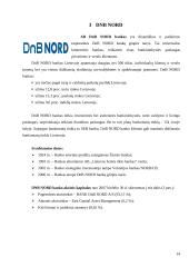 Vartojamosios paskolos: bankai AB "Snoras ir AB "DnB Nord" 13 puslapis