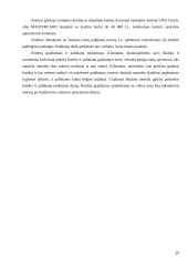 Vartojamosios paskolos: bankai AB "Snoras ir AB "DnB Nord" 19 puslapis