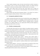 Vartojamosios paskolos: bankai AB "Snoras ir AB "DnB Nord" 9 puslapis