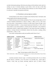 Vartotojų elgsenos ypatumai renkantis vieną iš Šiaulių pramogų klubų 12 puslapis