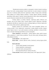 Vartotojų elgsenos tyrimas: UAB "Ingman ledai" 2 puslapis