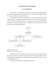 Vartotojų elgsenos tyrimas: UAB "Ingman ledai" 12 puslapis