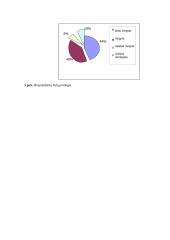 Vartotojų elgsenos tyrimas: UAB "Ingman ledai" 16 puslapis