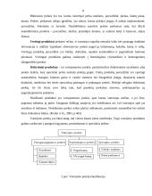 Vartotojų požiūris į tabako gaminius: cigaretės 8 puslapis