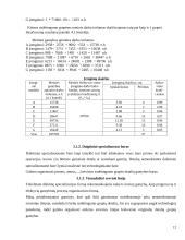 Veiklos (produkto, paslaugų) kūrimas ir vykdymas 12 puslapis