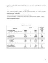 Veiklos (produkto, paslaugų) kūrimas ir vykdymas 15 puslapis