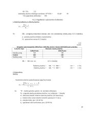 Veiklos (produkto, paslaugų) kūrimas ir vykdymas 20 puslapis
