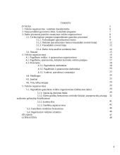 Veiklos (produkto, paslaugų) kūrimas ir vykdymas 4 puslapis