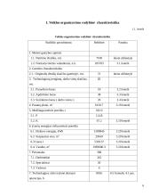 Veiklos (produkto, paslaugų) kūrimas ir vykdymas 6 puslapis