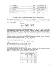 Veiklos (produkto, paslaugų) kūrimas ir vykdymas 7 puslapis