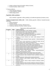 Veiklos analizė ir informacinių poreikių specifikavimas: UAB "Smaližius" 6 puslapis