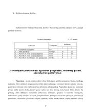 Veiklos analizė: degtukų gamyba AB "Liepsna" 17 puslapis