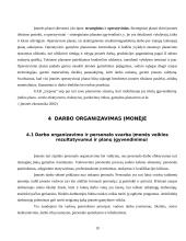 Veiklos analizė: degtukų gamyba AB "Liepsna" 19 puslapis