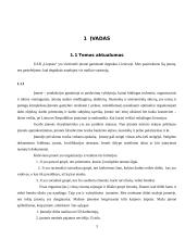 Veiklos analizė: degtukų gamyba AB "Liepsna" 3 puslapis