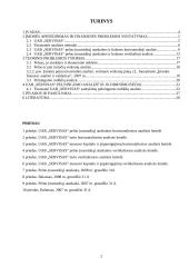 Veiklos finansinė analizė ir perspektyvos: UAB "Servisas" 2 puslapis