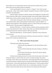 Veiklos finansinė analizė ir perspektyvos: UAB "Servisas" 18 puslapis