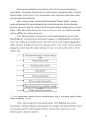 Veiklos finansinė analizė ir perspektyvos: UAB "Servisas" 19 puslapis