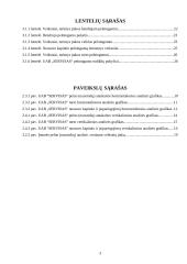 Veiklos finansinė analizė ir perspektyvos: UAB "Servisas" 3 puslapis