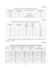 Veiklos kūrimas ir vykdymas 16 puslapis