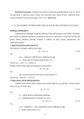 Veiklos kūrimas ir vykdymas 17 puslapis